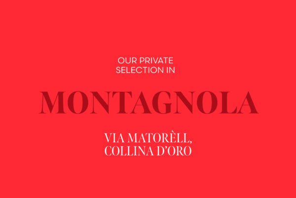 Montagnola x post website copia